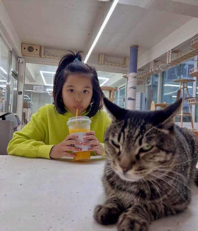 조윤희 소셜 캡처