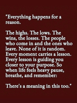 클라라 소셜 캡처