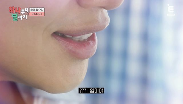 (사진 제공 = 티캐스트 E채널 ‘하나부터 열까지’)