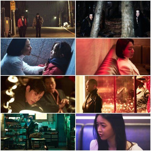 사진제공｜플러스엠엔터테인먼트