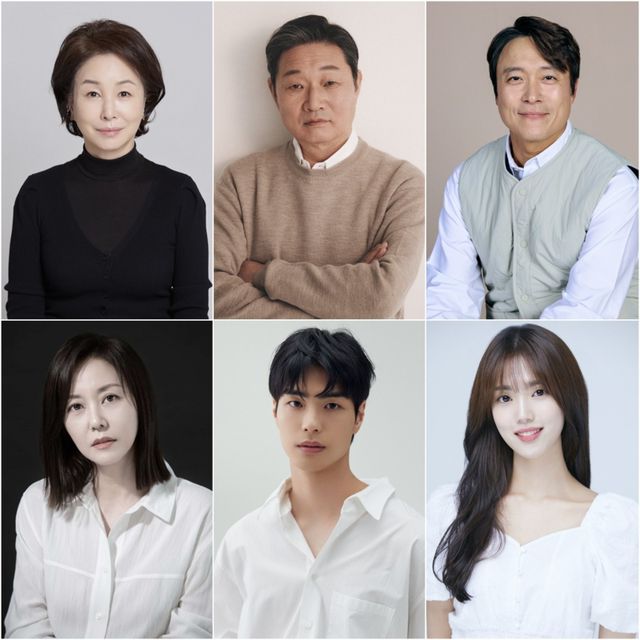 사진 제공: 김미숙(리마커블엔터테인먼트), 주진모(HB엔터테인먼트), 최대철(KBS), 조미령(본인), 김선빈(골드문), 윤서아(9아토엔터테인먼트)