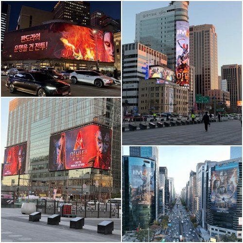 사진제공｜월트디즈니 컴퍼니 코리아