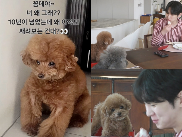 사진｜A씨 소셜 캡처·MBC 제공