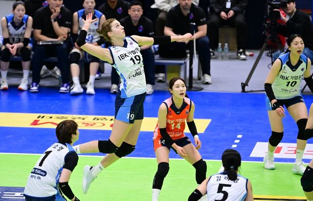 IBK기업은행 빅토리아(19번)가 13일 수원체육관에서 벌어진 현대건설과 ‘도드람 2024~2025 V리그’ 여자부 정규리그 6라운드 원정경기 도중 스파이크를 터트리고 있다. 사진제공｜KOVO