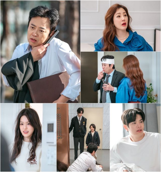 사진 제공 : 스튜디오 플럼