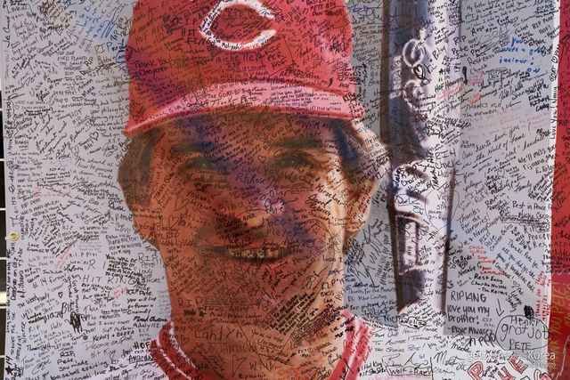 피트 로즈 추모. 사진=게티이미지코리아