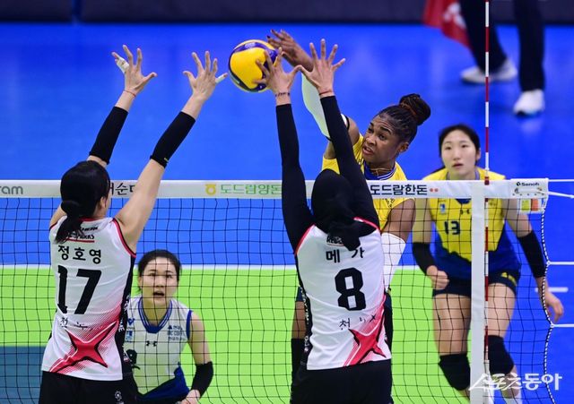 현대건설과 정관장이 V리그 출범 이후 처음으로 PO에서 격돌한다. 25일 수원체육관에서 1차전이 열리는 가운데 두 팀은 외국인 선수 공백 리스크를 최소화해야 하는 부담을 떠안고 있다. 스포츠동아DB