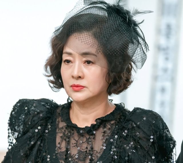 사진 제공: KBS 2TV 새 일일드라마 〈여왕의 집〉