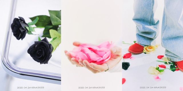 [사진제공=알비더블유, DSP미디어]