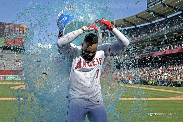 조 아델. 사진=게티이미지코리아