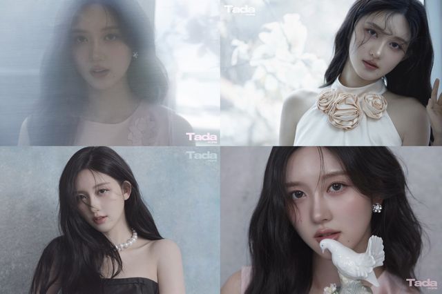 [사진 제공 = TadaPOPs]