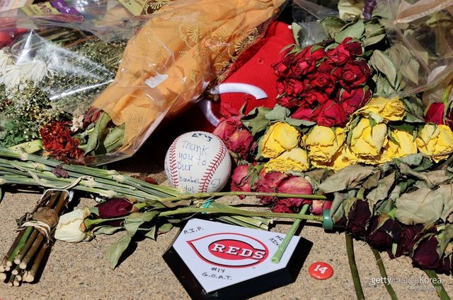 피트 로즈 추모. 사진=게티이미지코리아