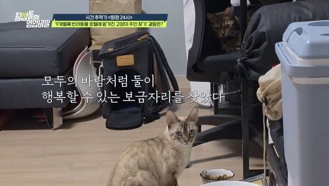 (사진 제공 = 채널A ‘탐정들의 영업비밀’)