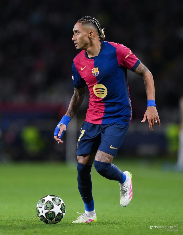 하피냐. 사진=게티이미지코리아