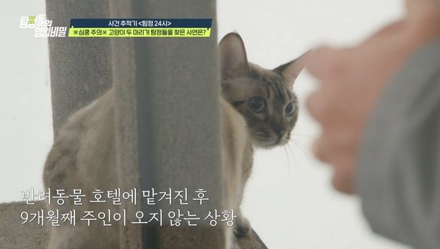 (사진 제공 = 채널A ‘탐정들의 영업비밀’)