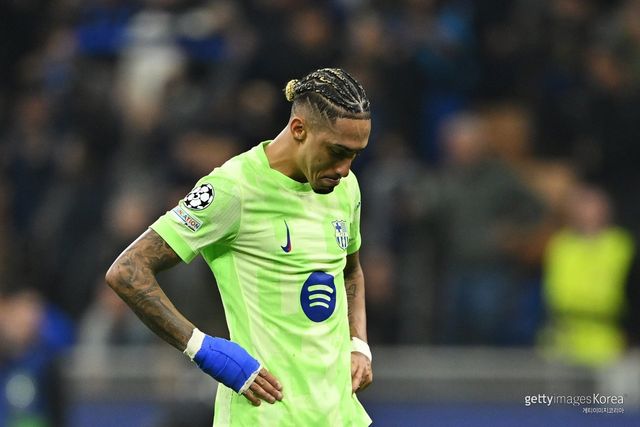 하피냐. 사진=게티이미지코리아