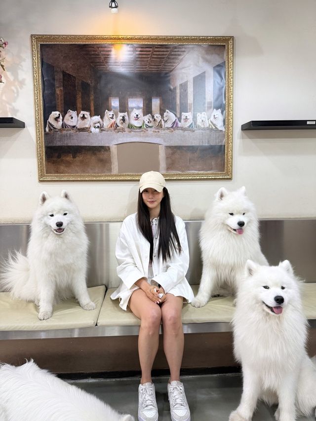 김사랑 소셜 캡처