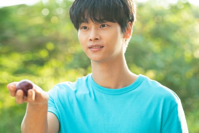 영화 ‘태양의 노래’ 스틸, 사진제공｜바이포엠스튜디오