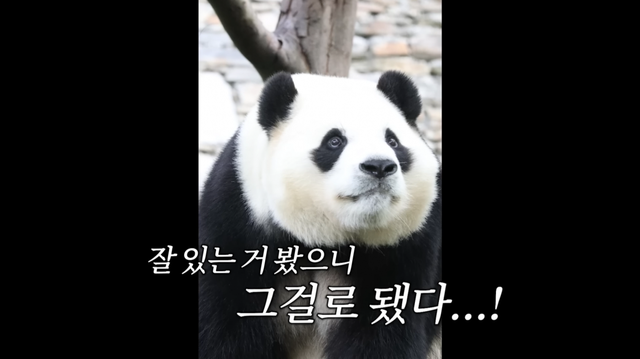 유튜브 ‘김숙티비’ 채널 캡처