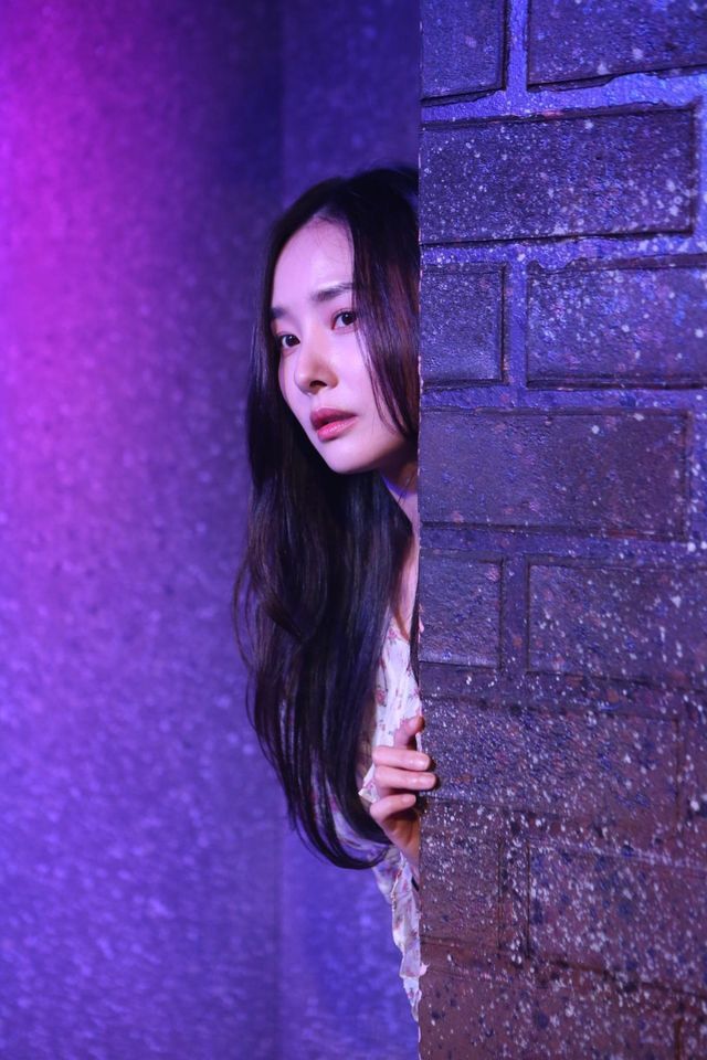 조이컬쳐스 제공