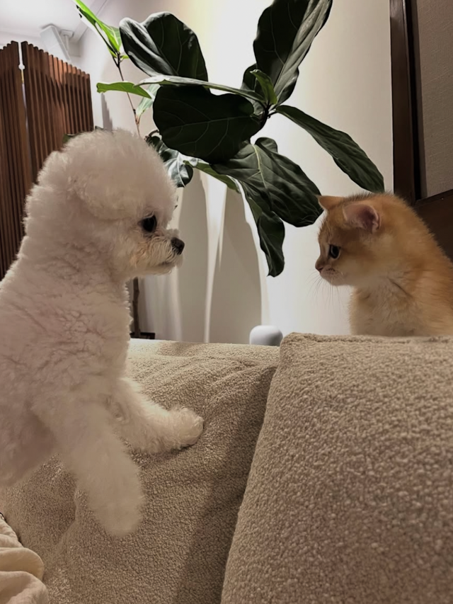 강민경 소셜 캡처