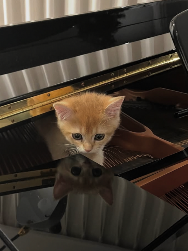 강민경 소셜 캡처