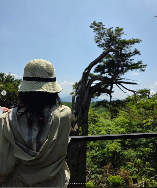 사진｜이영애 인스타그램