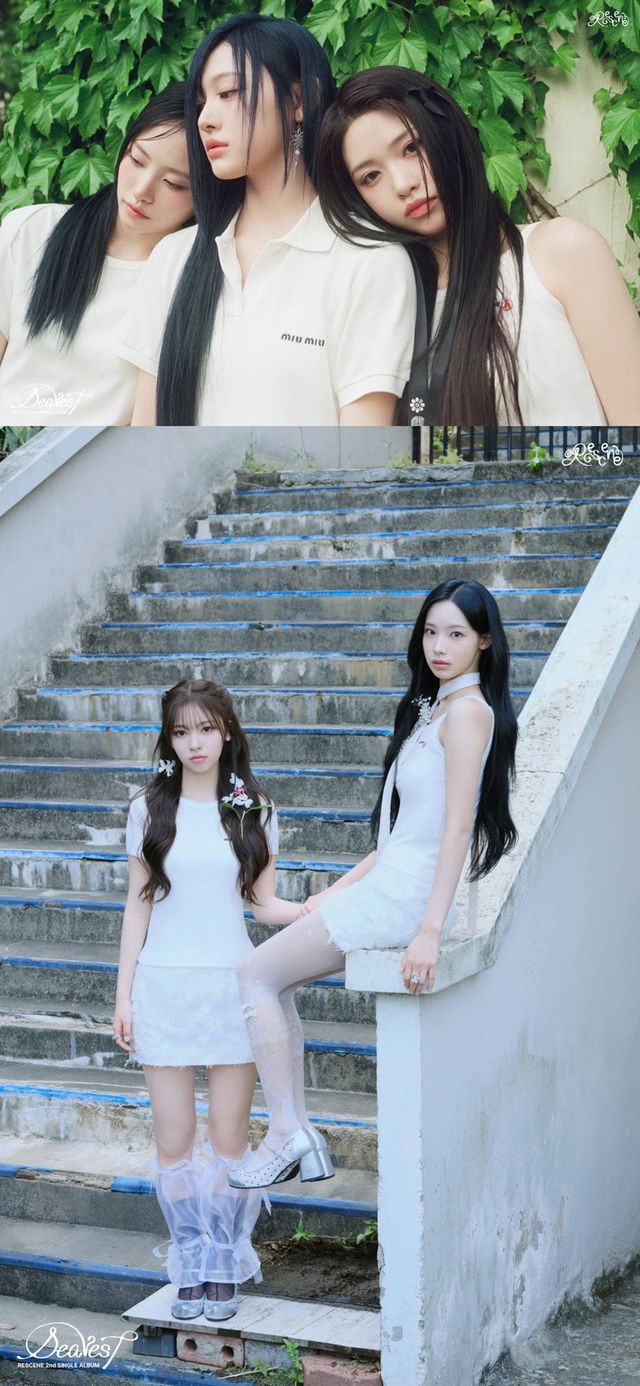 사진 출처 : 더뮤즈엔터테인먼트