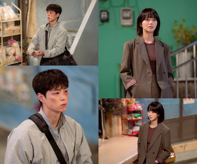 사진제공= SLL, 스튜디오앤뉴, 드라마하우스스튜디오