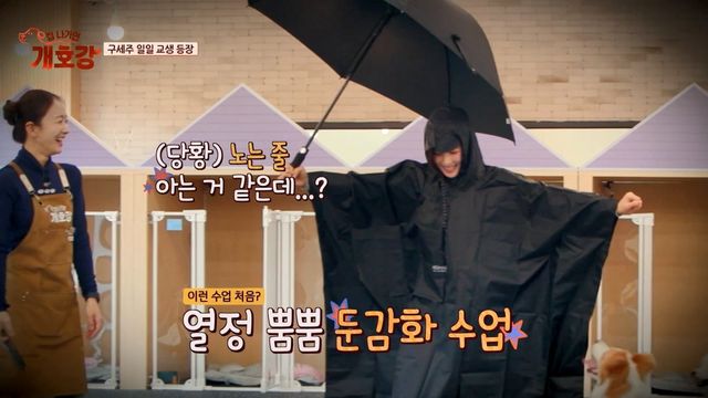 (사진 제공 = JTBC ‘집 나가면 개호강’)