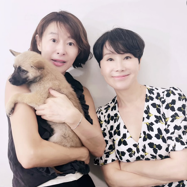 사진제공ㅣ에스브이컴