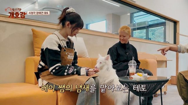 (사진 제공 = JTBC ‘집 나가면 개호강’)