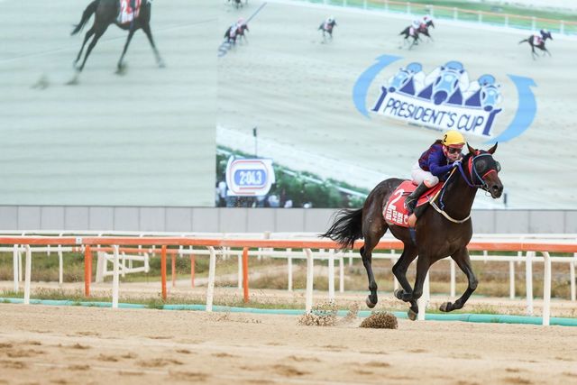 2025년 대표마 및 최우수 국산마를 선발하는 코리아 프리미어 시리즈 7개 경주 중 6개가 하반기에 집중돼 있어 경마팬들을 설레게 하고 있다. 지난해 하반기 KRA컵 클래식과 대통령배, 그랑프리를 싹쓸이해 연도대표마의 영예를 안았던 글로벌히트. 사진제공 | 한국마사회