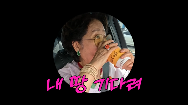 유튜브 채널 ‘순풍 선우용여’ 캡처