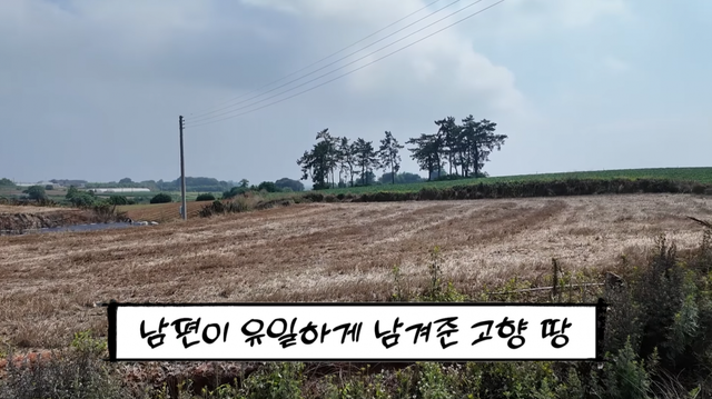 유튜브 채널 ‘순풍 선우용여’ 캡처