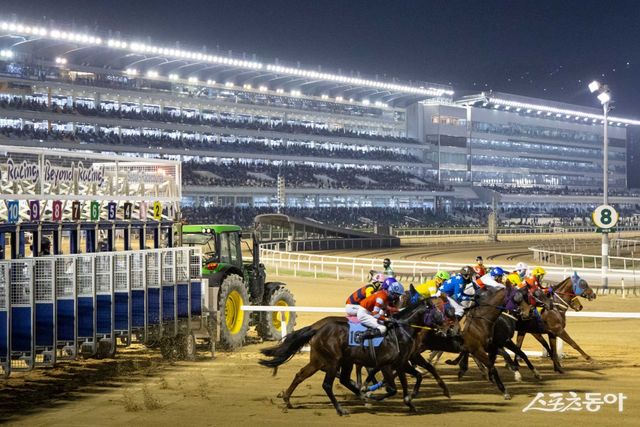 8월부터 10월까지 6주에 걸쳐 야간경마가 펼쳐진다. 야간경주에서 게이트를 박차고 나가는 경주마들. 사진제공 | 한국마사회