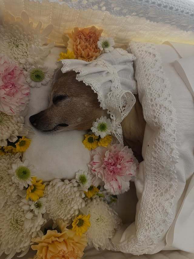 이민호 소셜 캡처