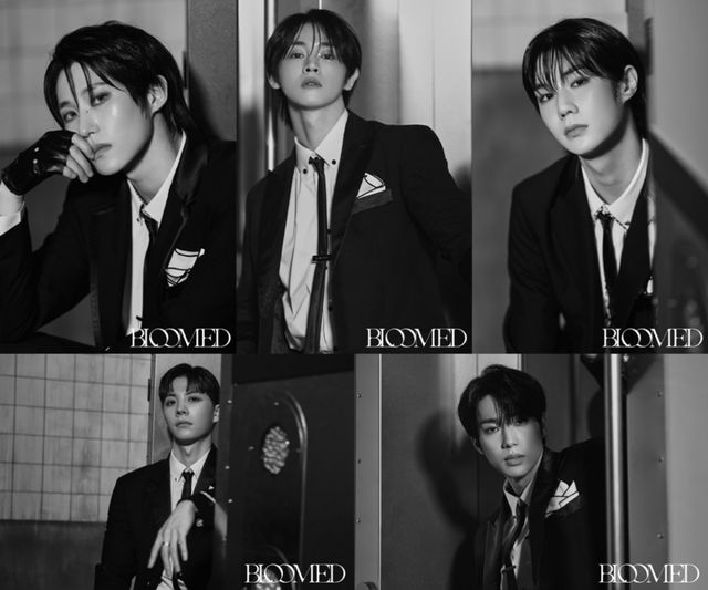 [사진 = 뉴웨이즈컴퍼니 제공]