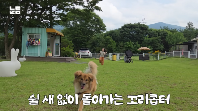 유튜브 채널 ‘남다리맥’