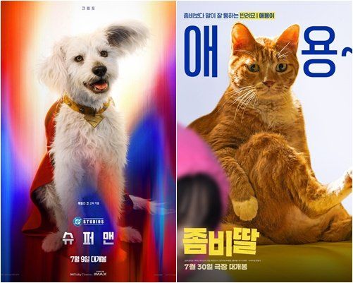 사진제공｜워너브라더스 코리아·NEW