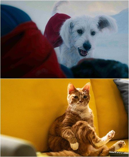 사진제공｜워너브라더스 코리아·NEW