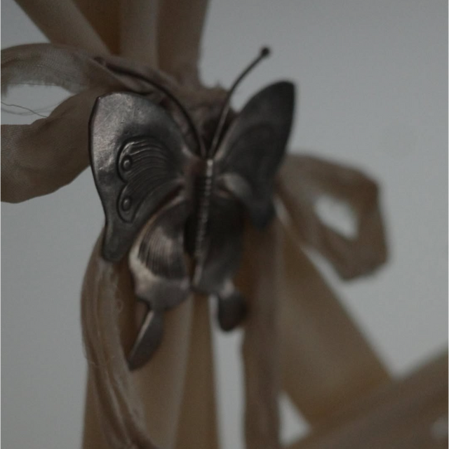 이효리 소셜 캡처