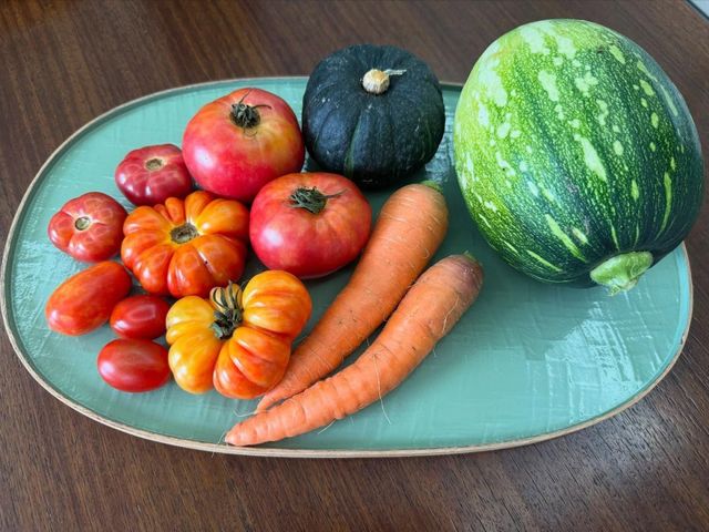 손예진 소셜 캡처