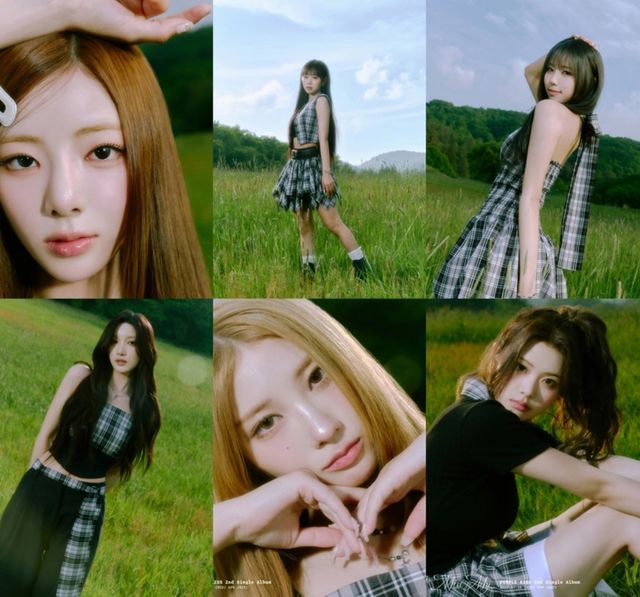 [사진제공=알비더블유]