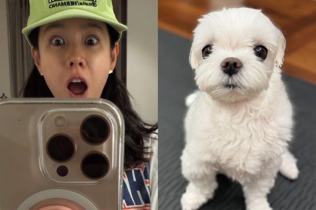 손예진 소셜 캡처