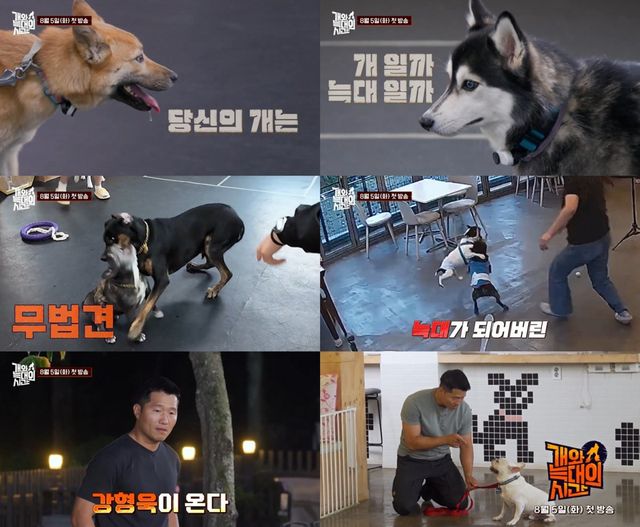 사진제공｜채널A