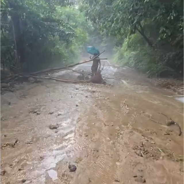 서효림 소셜 캡처