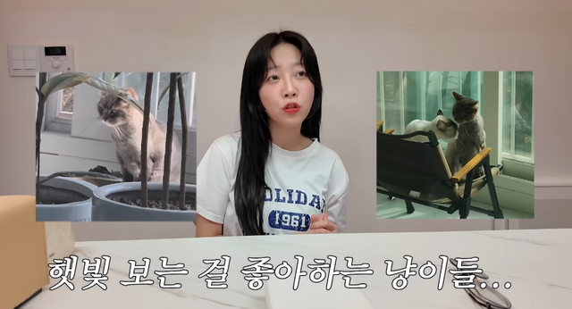 유튜브 채널 ‘쯔양밖정원’ 캡처