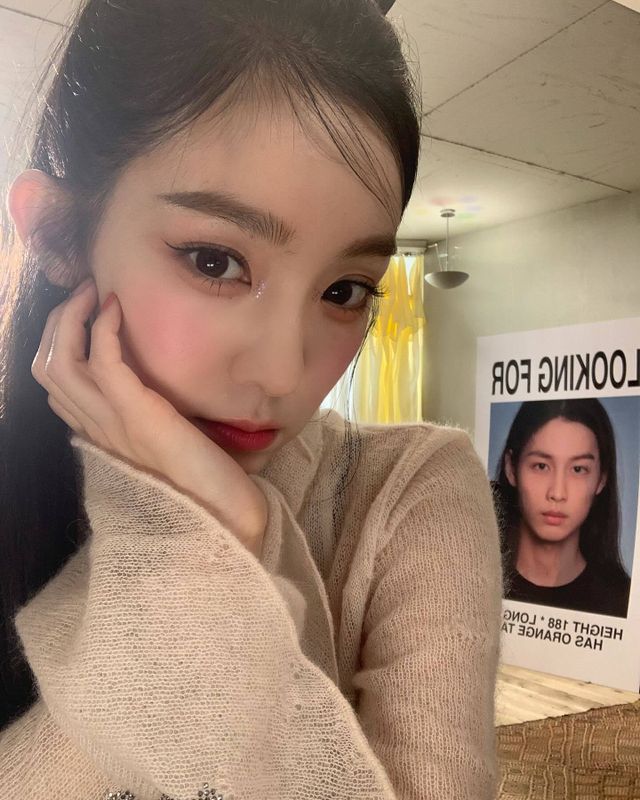 아이린 소셜 캡처