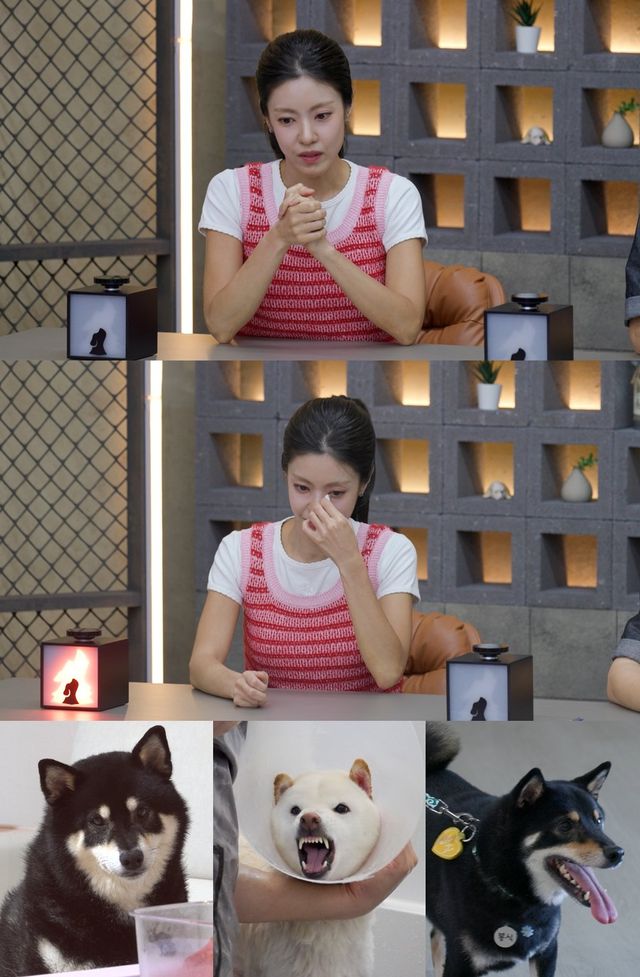 사진제공｜채널A